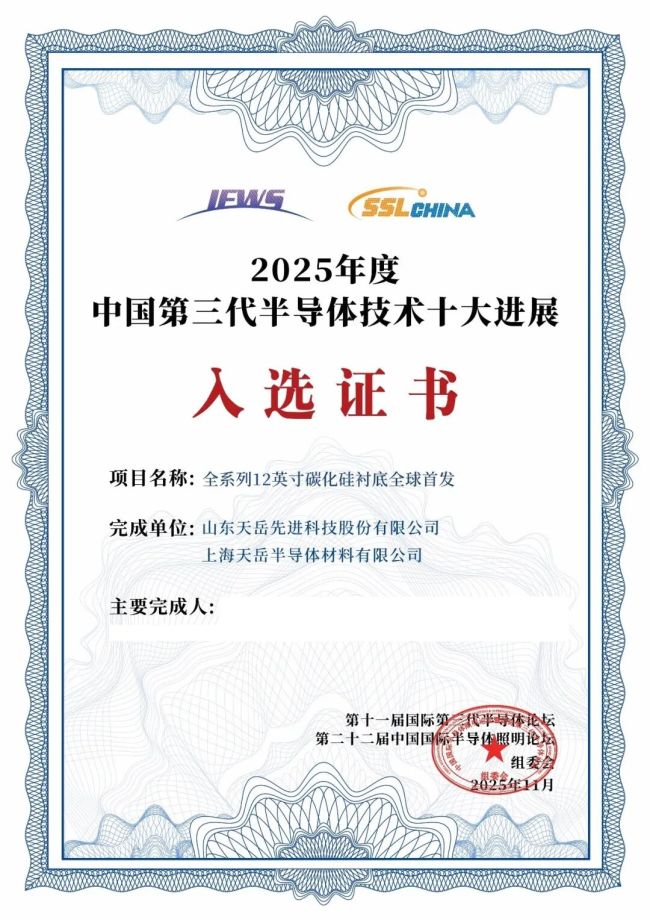 飞盘专题：深入解析广州飞盘队的技术特点与战术运用